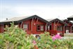 Ferienhaus D&auml;nemark, Ferienhaus an J�tlands Westk�ste