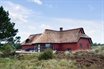 Ferienhaus D&auml;nemark, Sommerhus ved Jyllands vestkyst
