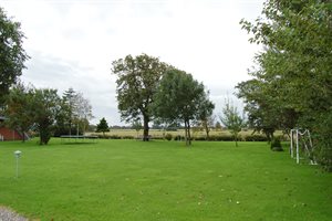 29-5050