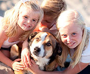 Dänemarkurlaub mit Hund Dänemarkurlaub mit Hund