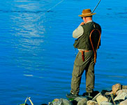 fishing fishing