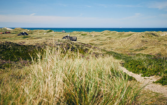 Ferienhäuser liegen oft in Gebieten mit einer wunderschönen Natur und nur einen kleinen Spaziergang vom Meer entfernt. Ferienhäuser liegen oft in Gebieten mit einer wunderschönen Natur und nur einen kleinen Spaziergang vom Meer entfernt.