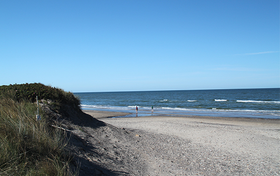 Uanset årstiden er en tur til stranden altid en dejlig oplevelse på ferien Udsigt over klitterne, stranden og havet.