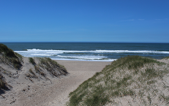 Tag på skønne udflugter til stranden, når I holder ferie i sommerhus Udsigt fra klitterne henover stranden og havet