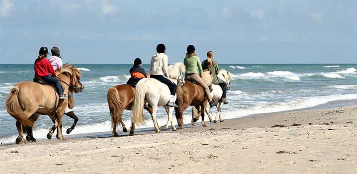 Actieve vakantie Actieve vakantie
