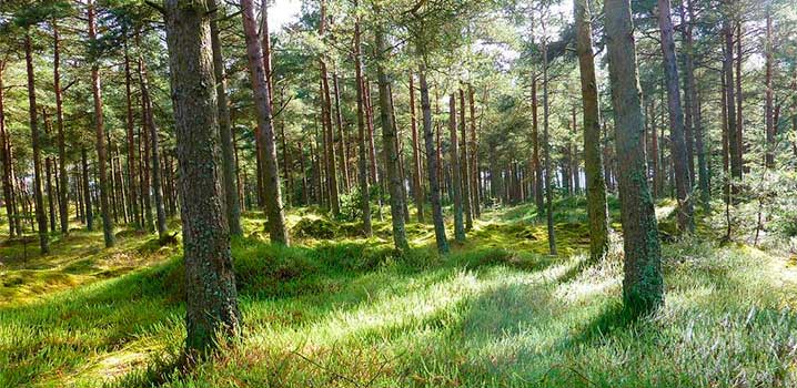 Natuur Natuur