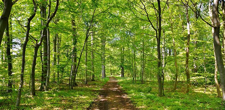 Natur, Danmark Natur, Danmark