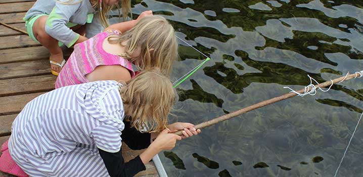 Die Kinder werden es lieben, die spannenden Bewohner des Meeres näher kennenzulernen Drei Mädchen angeln von einer Mole