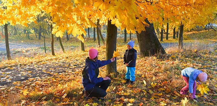 Kinder im Wald Kinder im Wald