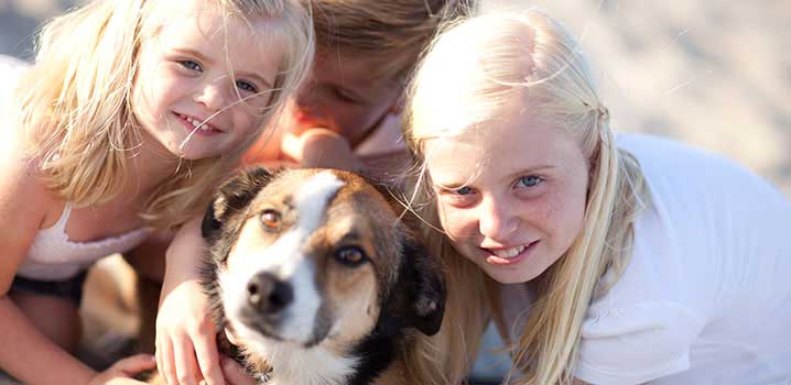 Familienhund Familienhund