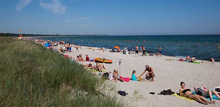 Marielyst Strand voller Badegäste, die das Strandleben genießen Marielyst Strand voller Badegäste, die das Strandleben genießen