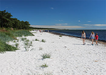 Der Ostsee Der Ostsee