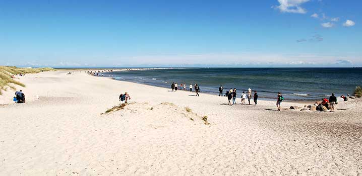 Zu einem Sommerurlaub gehört ein schöner Sandstrand, schönes Badewasser und flotte Dünen Im Vordergrund Dünen mit Strandhafer, im Hintergrund Sandstrand und schönes blaues Badewasser