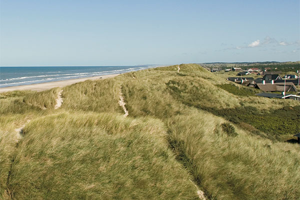 De mooie noordzee De mooie noordzee