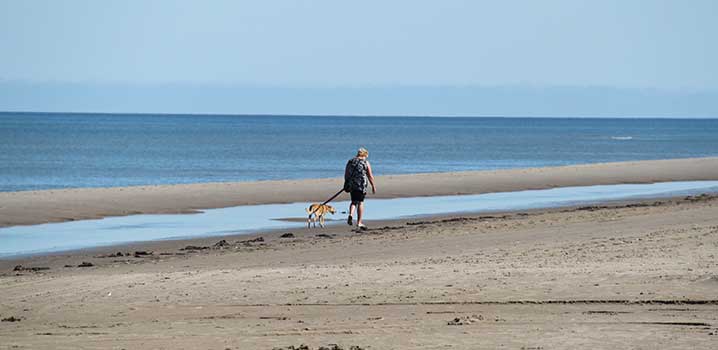 Nehmen Sie den Hund mit nach Skagen und genießen Sie Spaziergänge in der schmucken Natur Nehmen Sie den Hund mit nach Skagen und genießen Sie Spaziergänge in der schmucken Natur