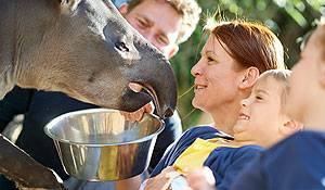 swingergaarden slagelse rabat til Odense Zoo swingergaarden slagelse rabat til Odense Zoo