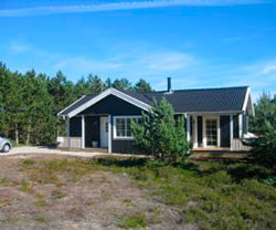 Rent a holiday home in the scenic nature of Læsø Læsø offers many well-situated holiday homes