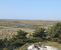 View of the preserved nature area Rønnerne Rønnerne seen from the lookout tower by the saltworks