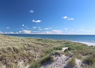View of the sea and the beach from the dunes in the holiday home area Ålbæk View of the sea and the beach from the dunes in the holiday home area Ålbæk