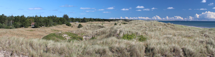 Holiday homes in green surroundings behind the dunes and the beach in the holiday area Ålbæk Holiday homes in green surroundings behind the dunes and the beach in the holiday area Ålbæk