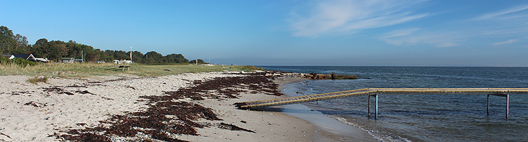 Dejlig badestrand med badebro, omgivet af sommerhuse i grønne omgivelser i Ajstrup Dejlig badestrand med badebro, omgivet af sommerhuse i grønne omgivelser i Ajstrup