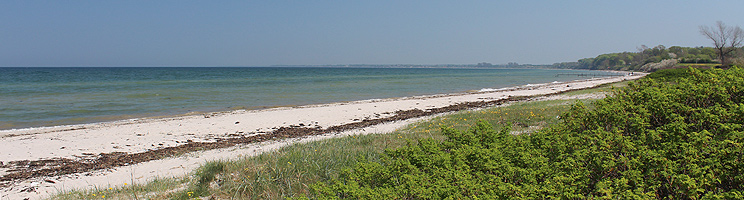 Lang, dejlig badestrand i sommerhusområdet Båring på Nordfyn Lang, dejlig badestrand i sommerhusområdet Båring på Nordfyn