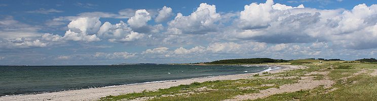Lang, fin sandstrand i sommerhusområdet Bagenkop Lang, fin sandstrand i sommerhusområdet Bagenkop
