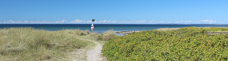 Path for the lovely sandy beach in the holiday home area Bjerge Path for the lovely sandy beach in the holiday home area Bjerge