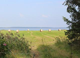 Neugeerntetes Feld zwischen dem Ferienhausgebiet und dem Wasser in Mosevrå Neugeerntetes Feld zwischen dem Ferienhausgebiet und dem Wasser in Mosevrå