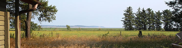 Wald und flache Wiesengebiete umgeben die Ferienhäuser in Blåvand, Mosevrå Wald und flache Wiesengebiete umgeben die Ferienhäuser in Blåvand, Mosevrå