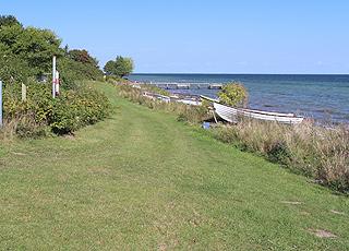 Grønne områder bag stranden i sommerhusområdet Bøsøre Grønne områder bag stranden i sommerhusområdet Bøsøre