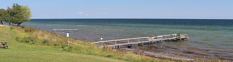 Lang badebro ved stranden i sommerhusområdet Bøsøre Lang badebro ved stranden i sommerhusområdet Bøsøre