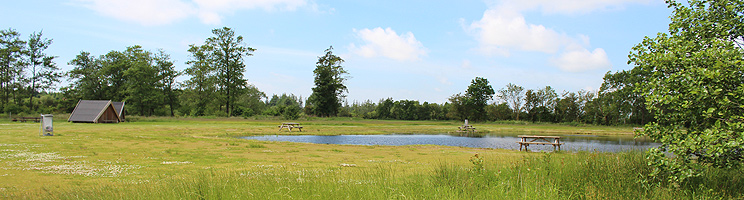 The holiday area Borris is characterized by its many fishponds The holiday area Borris is characterized by its many fishponds