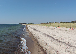 Deilig sandstrand med små sanddyner i ferieområdet Bredfjed på Sydlolland Deilig sandstrand med små sanddyner i ferieområdet Bredfjed på Sydlolland