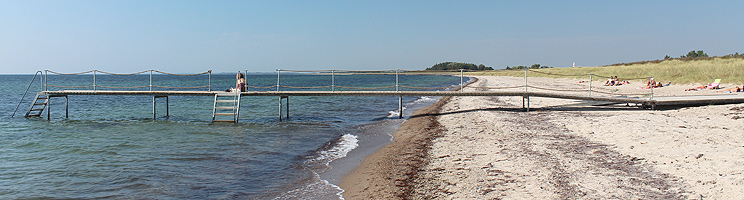 Badebro på den fine sandstranden i feriehusområdet Bredfjed Badebro på den fine sandstranden i feriehusområdet Bredfjed