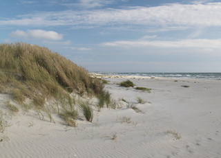 Ved Bunken kan I bade ved en dejlig strand med fint, hvidt sand Ved Bunken kan I bade ved en dejlig strand med fint, hvidt sand