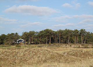 Sommerhusene i Bunken ligger ugenert i de grønne omgivelser bag stranden Sommerhusene i Bunken ligger ugenert i de grønne omgivelser bag stranden