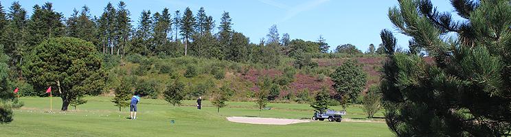 Sommerhusene i Dejbjerg ligger tæt ved Dejbjerg Golfklub Sommerhusene i Dejbjerg ligger tæt ved Dejbjerg Golfklub