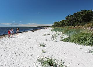 Schöner, weißer Sandstrand am Ferienhausgebiet Dueodde Ferieby Schöner, weißer Sandstrand am Ferienhausgebiet Dueodde Ferieby