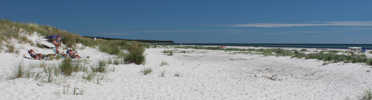Badegäste entspannen sich in den Dünen am breiten Sandstrand im Urlaubsgebiet Dueodde Badegäste entspannen sich in den Dünen am breiten Sandstrand im Urlaubsgebiet Dueodde