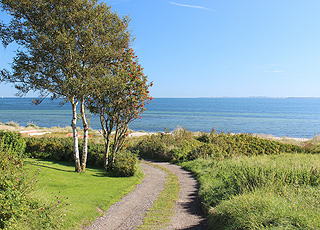 Udsigt over stranden og havet fra sommerhusområdet i Dyngby Udsigt over stranden og havet fra sommerhusområdet i Dyngby