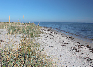 Fin sandstrand med små marehalmsklitter og lavt badevand ved Dyngby Fin sandstrand med små marehalmsklitter og lavt badevand ved Dyngby