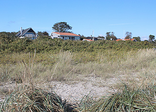 Sommerhusene i Dyngby er højt beliggende bag stranden Sommerhusene i Dyngby er højt beliggende bag stranden
