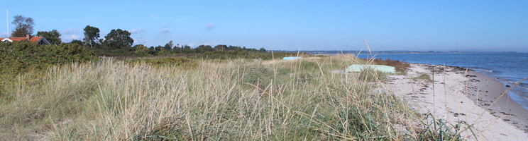 Sommerhusene i Dyngby ligger bag stranden og et grønt naturområde Sommerhusene i Dyngby ligger bag stranden og et grønt naturområde
