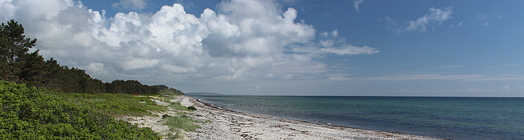 The bathing beach in Elsegårde is surrounded by green and luxuriant nature The bathing beach in Elsegårde is surrounded by green and luxuriant nature