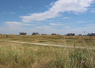 Sommerhuse i det kuperede klitlandskab bag golfbanen i Fanø Bad Sommerhuse i det kuperede klitlandskab bag golfbanen i Fanø Bad