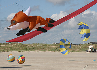 It is very popular to fly with kite on the wide sandy beach of Rindby It is very popular to fly with kite on the wide sandy beach of Rindby
