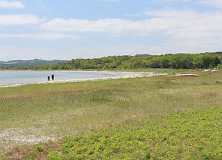 Stranden i Femmøller er omgivet af træer og grønne områder Stranden i Femmøller er omgivet af træer og grønne områder