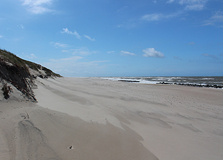 Udsigt mod syd ved Fjaltrings sandstrand med høje klitter Udsigt mod syd ved Fjaltrings sandstrand med høje klitter