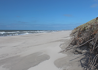 Fjaltring byder på en bred sandstrand og høje klitter Fjaltring byder på en bred sandstrand og høje klitter